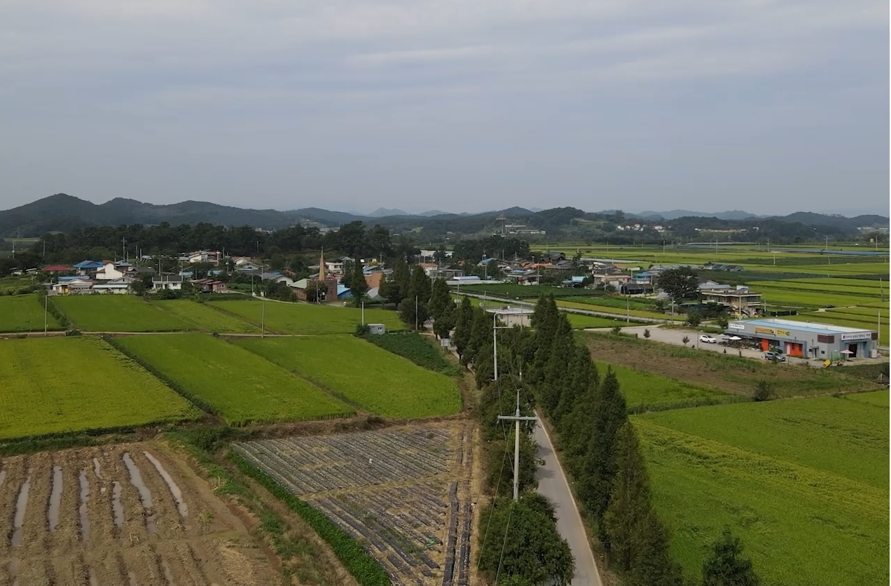 주월리 한배미마을 전경
